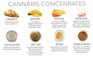 MMJ cannabis concentrates