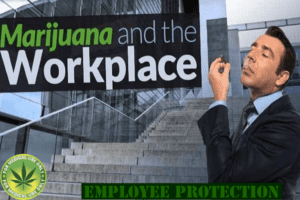 MMJ Employee Protections in Florida