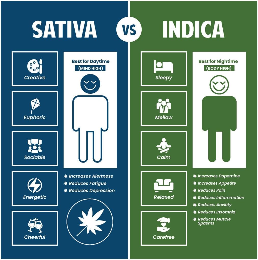 Difference Between IndicaSativa Based Strains