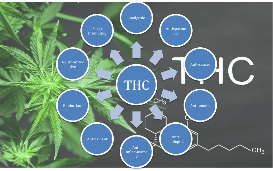 THC Benefits