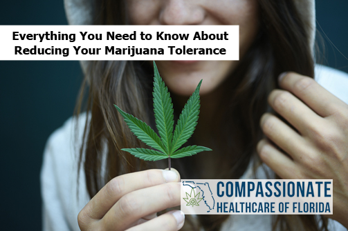 Everything You Need to Know About Reducing Your Marijuana Tolerance
