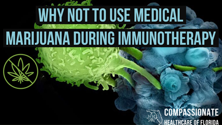Why Not To Use Medical Marijuana During Immunotherapy