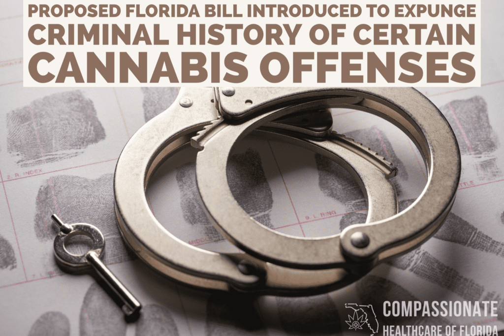 Fl Cannabis Conviction Expungement