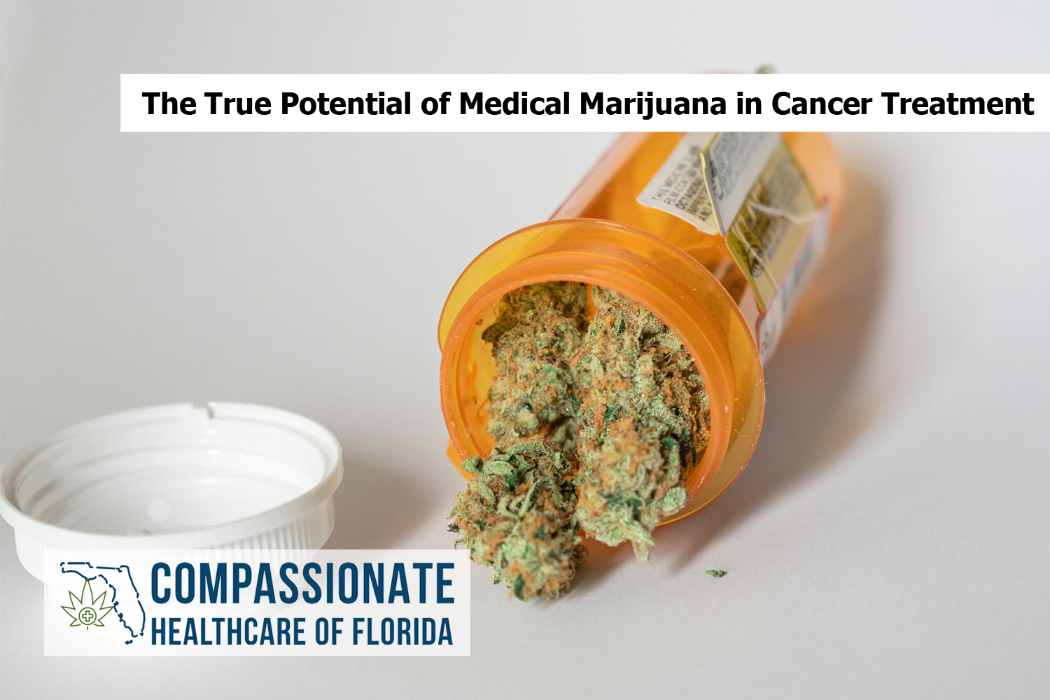 The True Potential of Medical Marijuana in Cancer Treatment