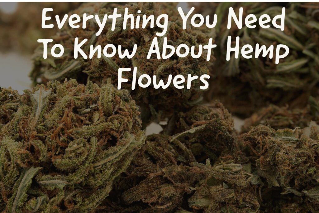 Everything You Need To Know About Hemp Flowers Compassionate