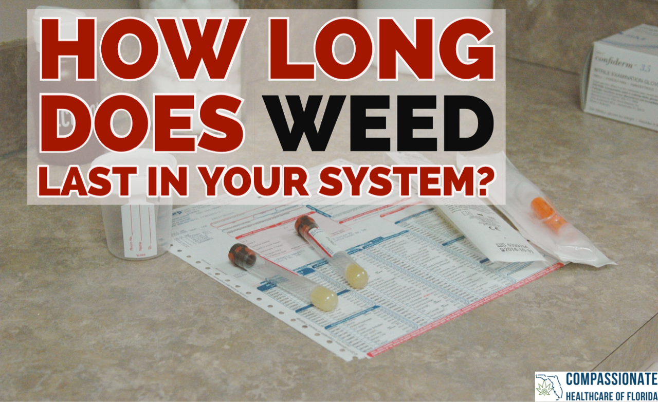 How Long does weed stay in your system