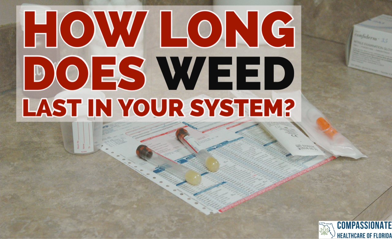 How Long Does Weed Last In Your System? Compassionate Healthcare of
