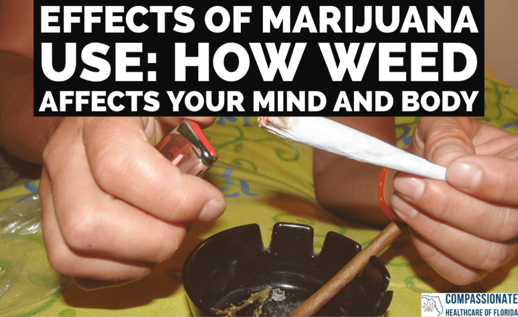 Effects of marijuana