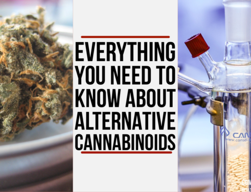 Everything You Need to Know About Alternative Cannabinoids