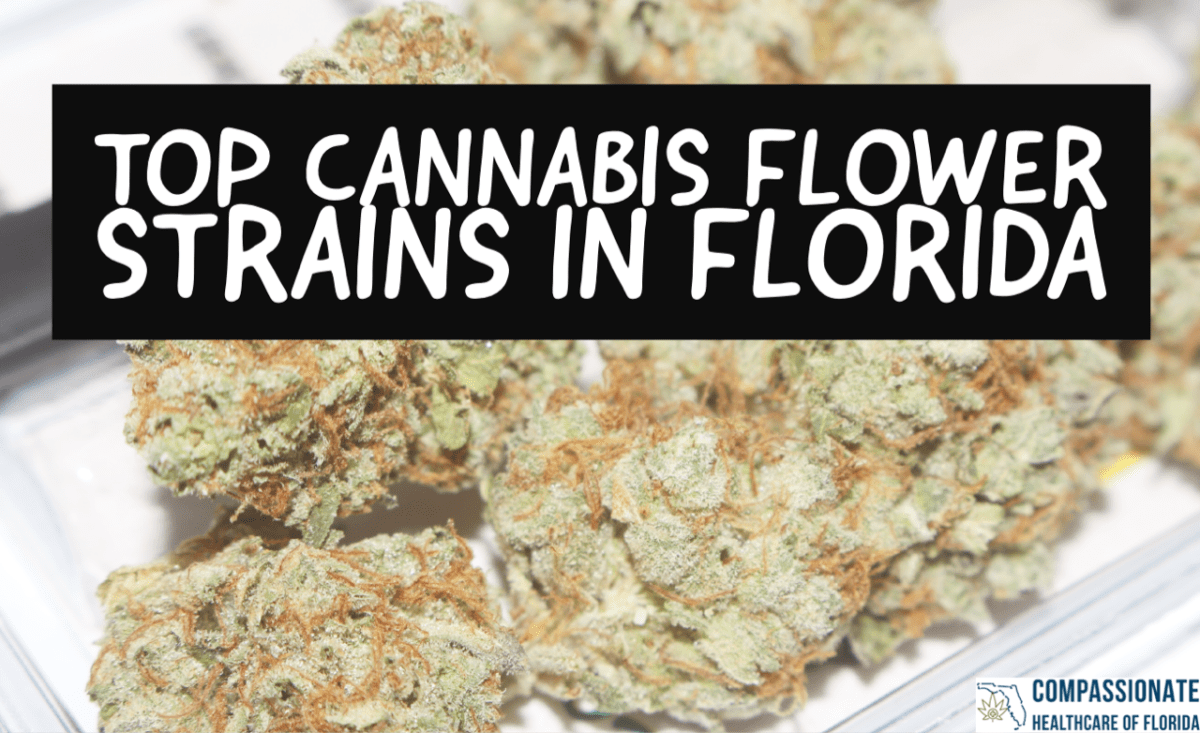 Top Cannabis Flower Strains In Florida Compassionate Healthcare of