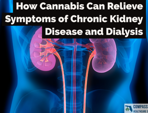 How Cannabis Can Relieve Symptoms of Chronic Kidney Disease and Dialysis