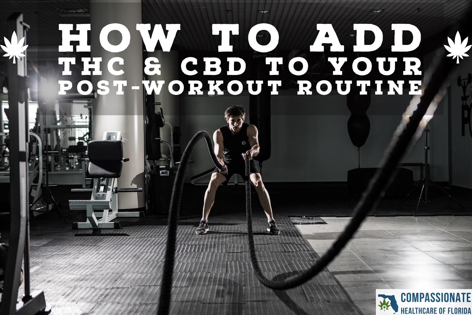 THC CBD in Workouts