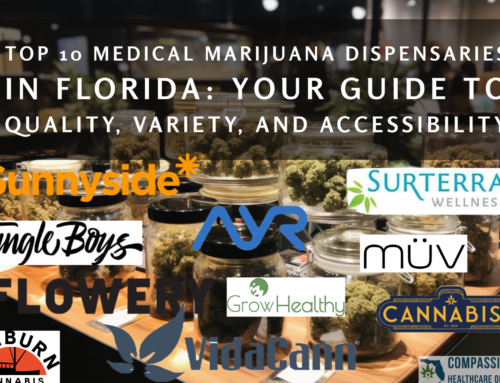 Top 10 Medical Marijuana Dispensaries in Florida: Your Guide to Quality, Variety, and Accessibility