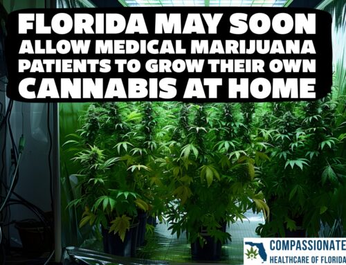 Florida May Soon Allow Medical Marijuana Patients to Grow Their Own Cannabis at Home