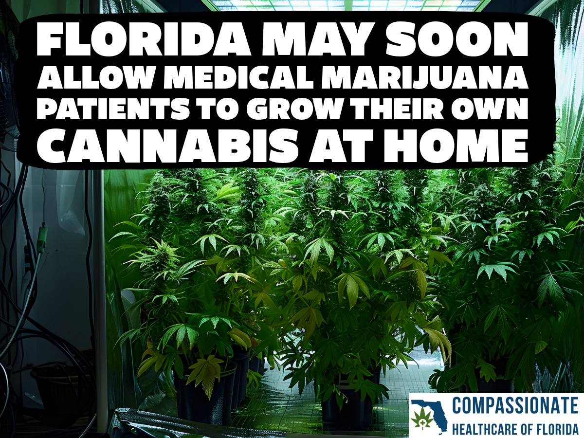 Florida MMJ Homegrow